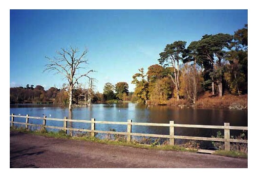 The inlet at the north western end of Clumber Lake